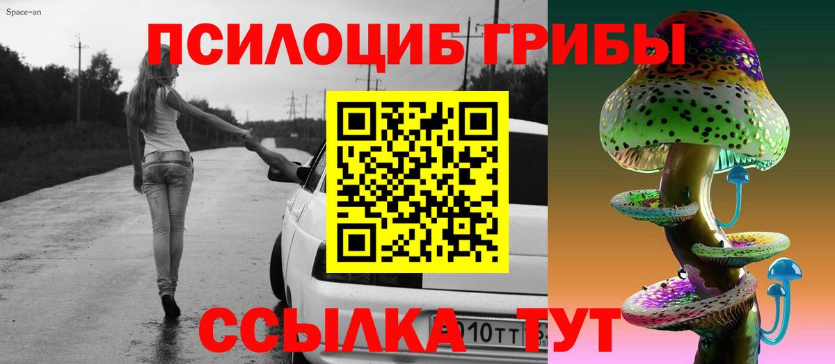 Сергиев Посад  Псилоцибиновые грибы ЛСД  Вход с VPN 